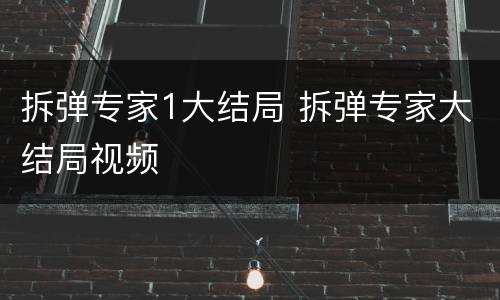拆弹专家1大结局 拆弹专家大结局视频