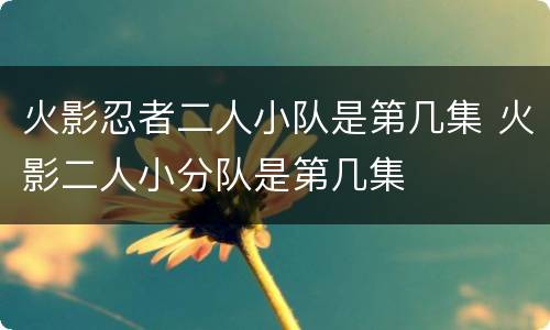 火影忍者二人小队是第几集 火影二人小分队是第几集