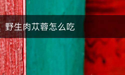 野生肉苁蓉怎么吃