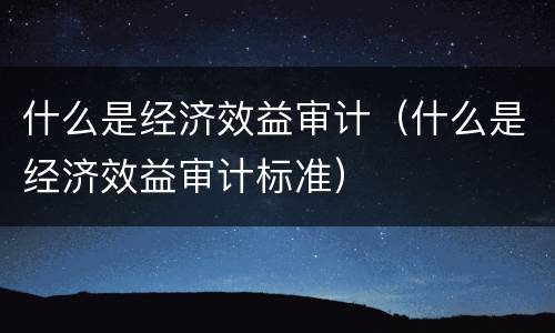 什么是经济效益审计（什么是经济效益审计标准）