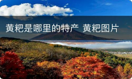 黄粑是哪里的特产 黄粑图片