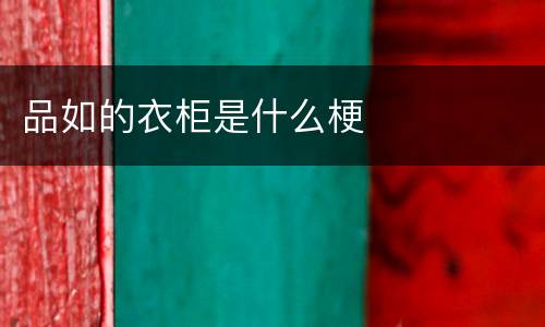 品如的衣柜是什么梗