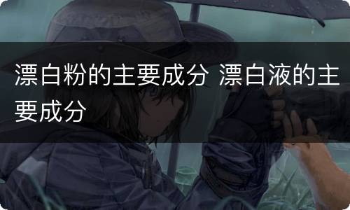 漂白粉的主要成分 漂白液的主要成分