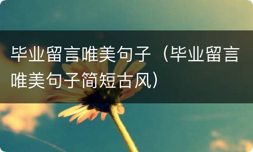 毕业留言唯美句子（毕业留言唯美句子简短古风）