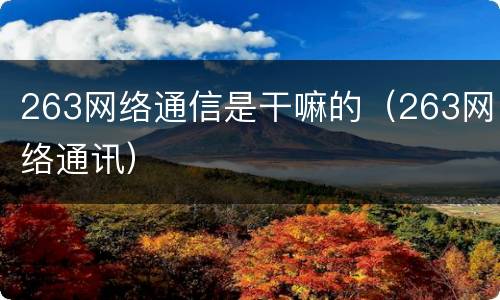 263网络通信是干嘛的（263网络通讯）