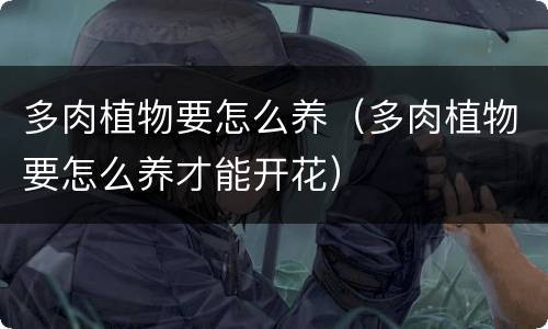 多肉植物要怎么养（多肉植物要怎么养才能开花）