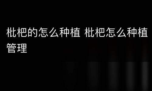 枇杷的怎么种植 枇杷怎么种植管理