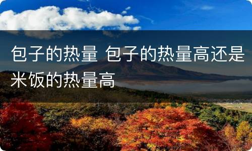 包子的热量 包子的热量高还是米饭的热量高