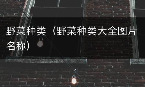 野菜种类（野菜种类大全图片名称）