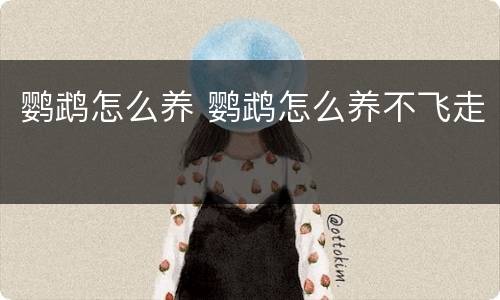 鹦鹉怎么养 鹦鹉怎么养不飞走