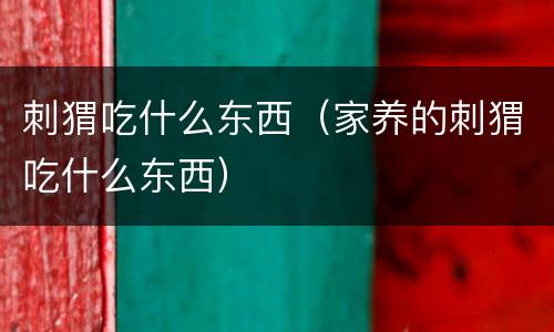 刺猬吃什么东西（家养的刺猬吃什么东西）
