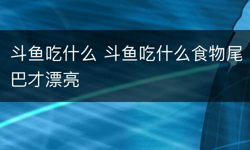 斗鱼吃什么 斗鱼吃什么食物尾巴才漂亮