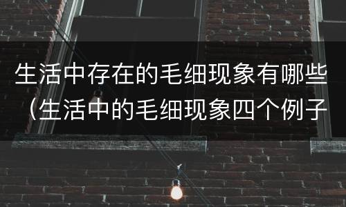生活中存在的毛细现象有哪些（生活中的毛细现象四个例子）