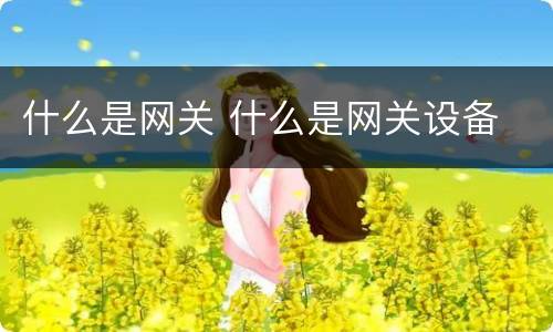 什么是网关 什么是网关设备