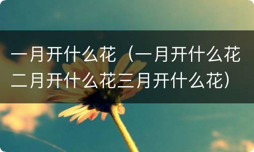 一月开什么花（一月开什么花二月开什么花三月开什么花）