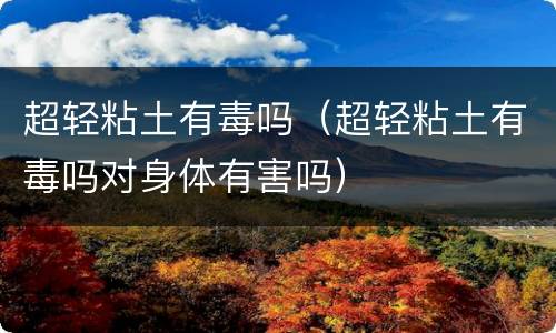 超轻粘土有毒吗（超轻粘土有毒吗对身体有害吗）