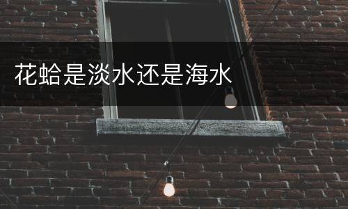 花蛤是淡水还是海水