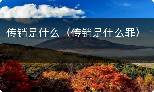 传销是什么（传销是什么罪）