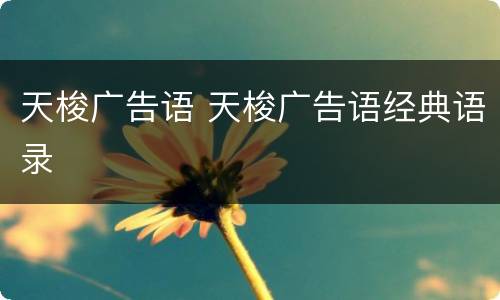 天梭广告语 天梭广告语经典语录