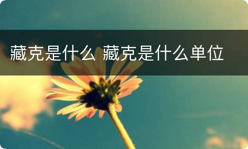 藏克是什么 藏克是什么单位