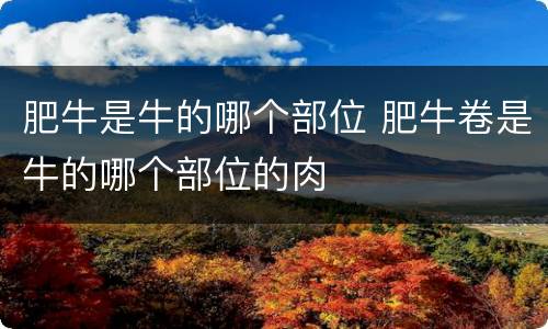肥牛是牛的哪个部位 肥牛卷是牛的哪个部位的肉