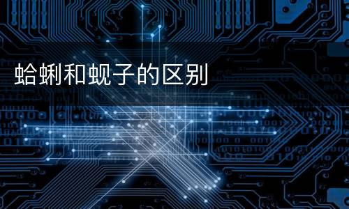 蛤蜊和蚬子的区别