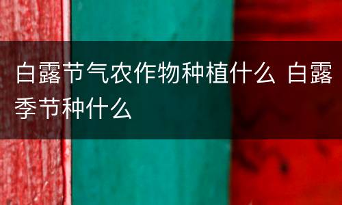 白露节气农作物种植什么 白露季节种什么