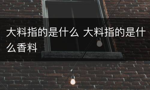 大料指的是什么 大料指的是什么香料