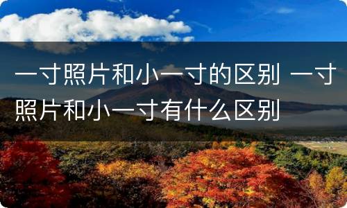 一寸照片和小一寸的区别 一寸照片和小一寸有什么区别