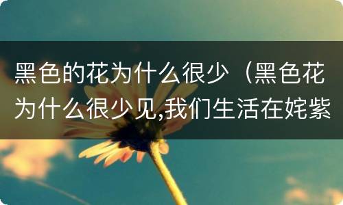 黑色的花为什么很少（黑色花为什么很少见,我们生活在姹紫嫣红）