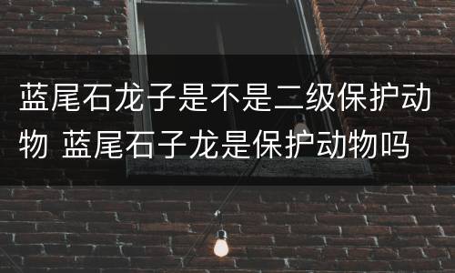 蓝尾石龙子是不是二级保护动物 蓝尾石子龙是保护动物吗