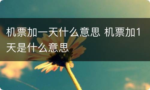 机票加一天什么意思 机票加1天是什么意思