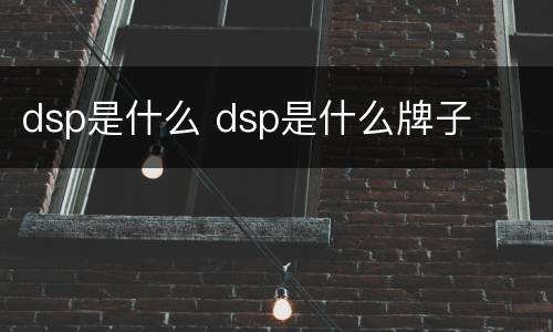 dsp是什么 dsp是什么牌子