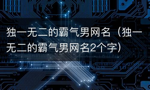 独一无二的霸气男网名（独一无二的霸气男网名2个字）