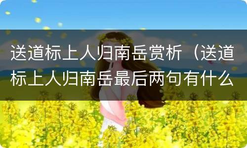 送道标上人归南岳赏析（送道标上人归南岳最后两句有什么含义）