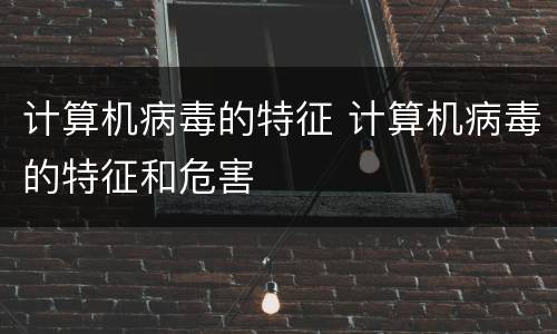计算机病毒的特征 计算机病毒的特征和危害