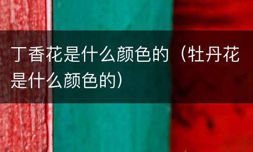 丁香花是什么颜色的（牡丹花是什么颜色的）