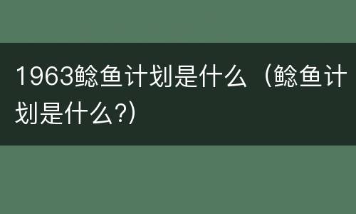 1963鲶鱼计划是什么（鲶鱼计划是什么?）