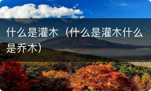 什么是灌木（什么是灌木什么是乔木）