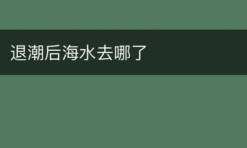 退潮后海水去哪了