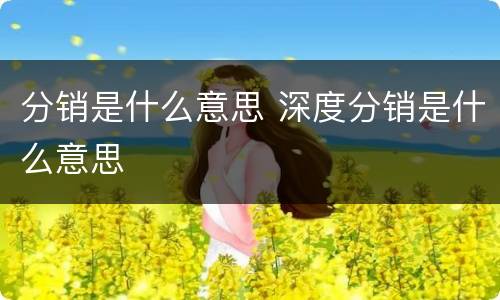 分销是什么意思 深度分销是什么意思