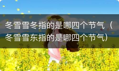 冬雪雪冬指的是哪四个节气（冬雪雪东指的是哪四个节气）