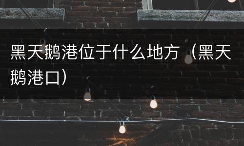 黑天鹅港位于什么地方（黑天鹅港口）