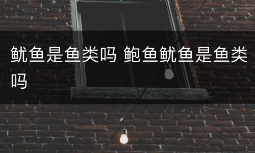 鱿鱼是鱼类吗 鲍鱼鱿鱼是鱼类吗