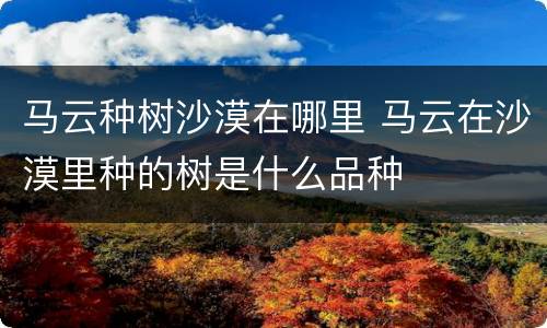 马云种树沙漠在哪里 马云在沙漠里种的树是什么品种
