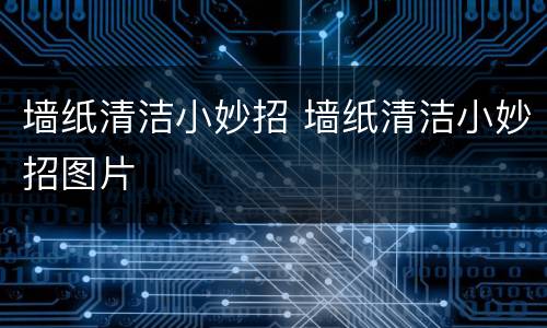 墙纸清洁小妙招 墙纸清洁小妙招图片