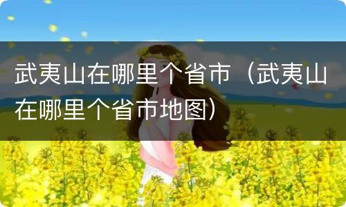 武夷山在哪里个省市（武夷山在哪里个省市地图）