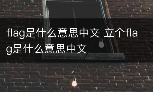 flag是什么意思中文 立个flag是什么意思中文