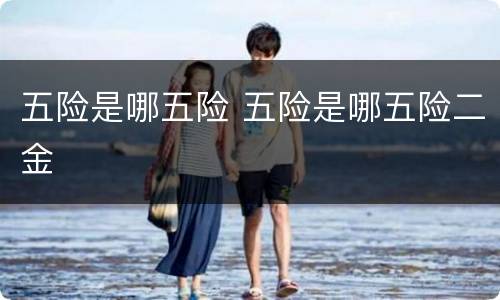 五险是哪五险 五险是哪五险二金
