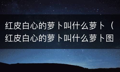 红皮白心的萝卜叫什么萝卜（红皮白心的萝卜叫什么萝卜图片）